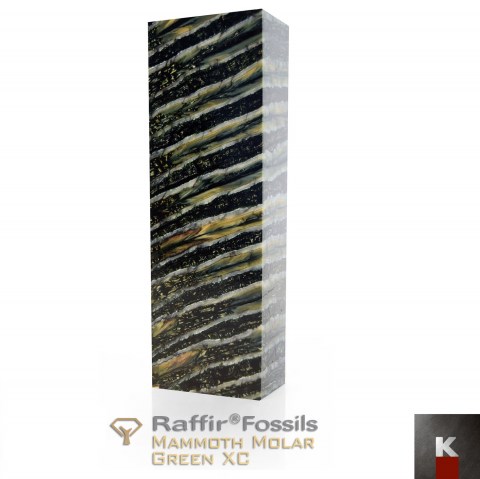 RaffirFossils-mammothmolar-green-xc K
